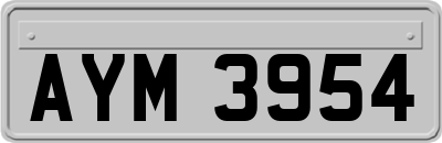 AYM3954