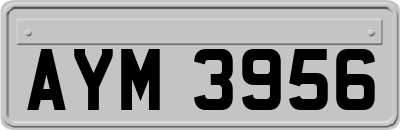 AYM3956