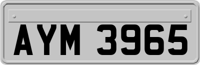 AYM3965