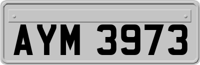 AYM3973