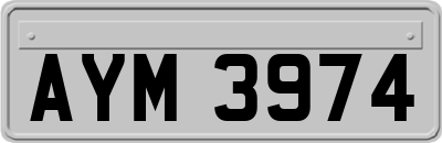 AYM3974