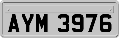 AYM3976