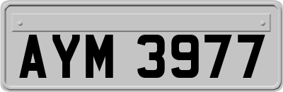 AYM3977