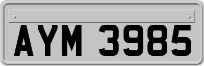 AYM3985