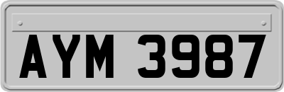 AYM3987