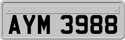 AYM3988