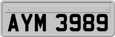 AYM3989