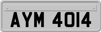 AYM4014