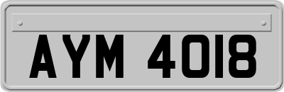 AYM4018