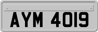AYM4019
