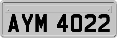 AYM4022