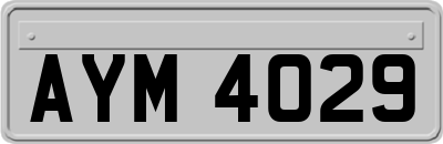 AYM4029