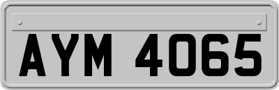 AYM4065