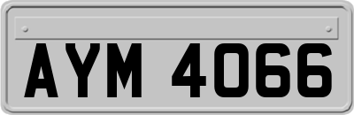 AYM4066