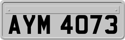 AYM4073