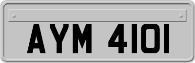 AYM4101