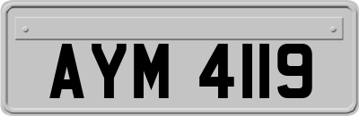 AYM4119