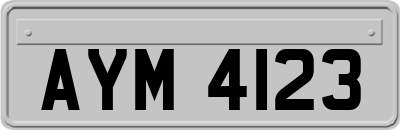 AYM4123