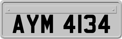 AYM4134