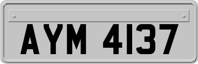 AYM4137