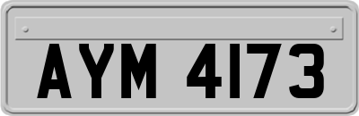 AYM4173