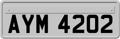 AYM4202