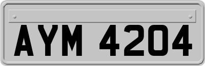 AYM4204