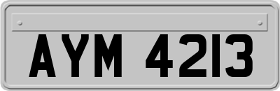AYM4213