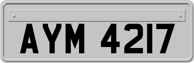AYM4217