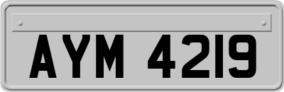 AYM4219