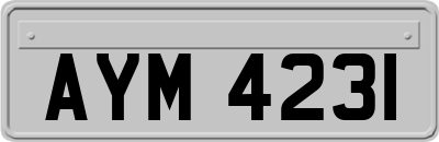 AYM4231