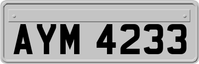 AYM4233
