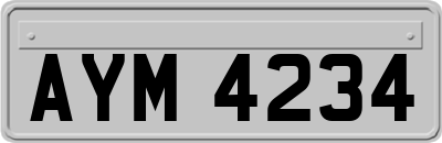 AYM4234