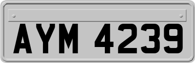 AYM4239