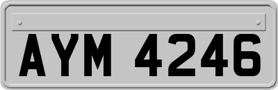 AYM4246