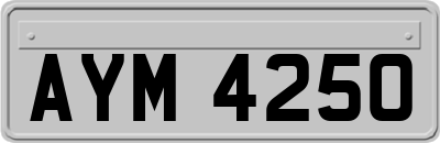 AYM4250