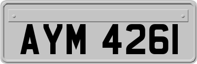 AYM4261