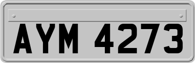 AYM4273