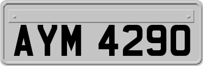 AYM4290