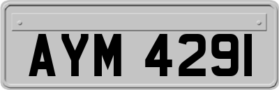 AYM4291