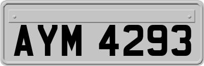 AYM4293
