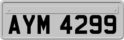 AYM4299