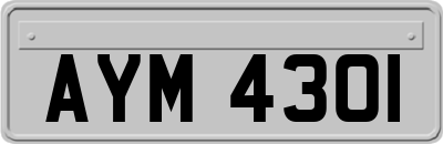 AYM4301