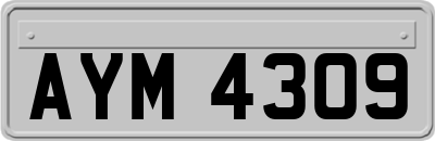AYM4309