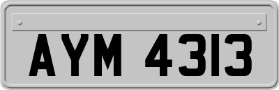 AYM4313