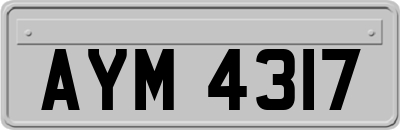 AYM4317