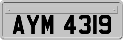 AYM4319