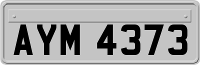 AYM4373