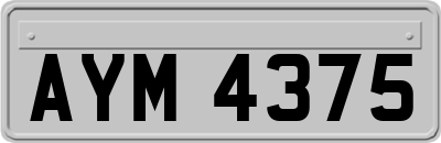 AYM4375