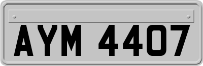 AYM4407